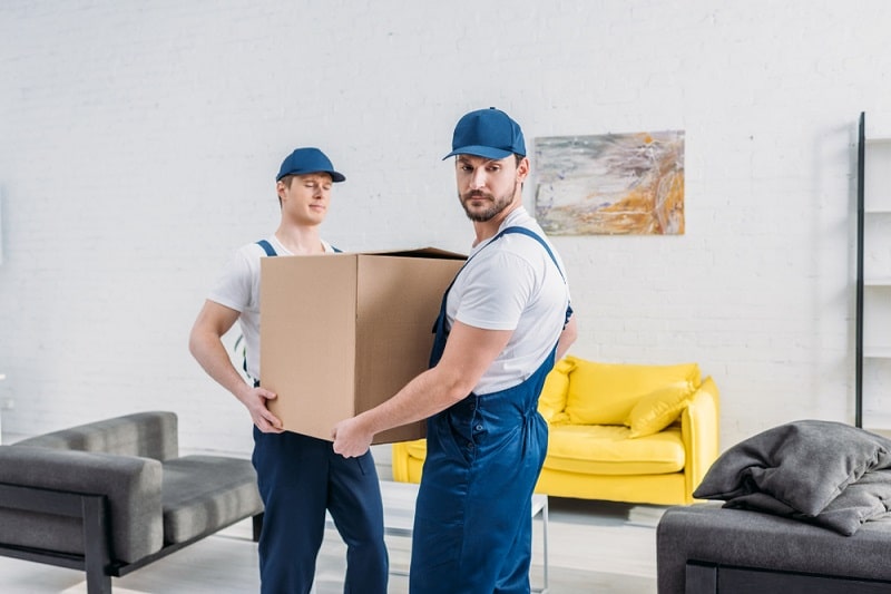 	
Movers and Packers in Ajman