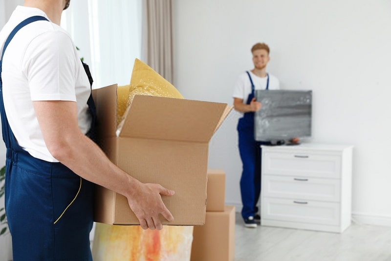 MOVERS AND PACKERS IN AL AIN