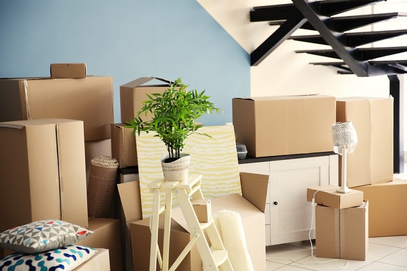 	
Best Movers and Packers in Dubai