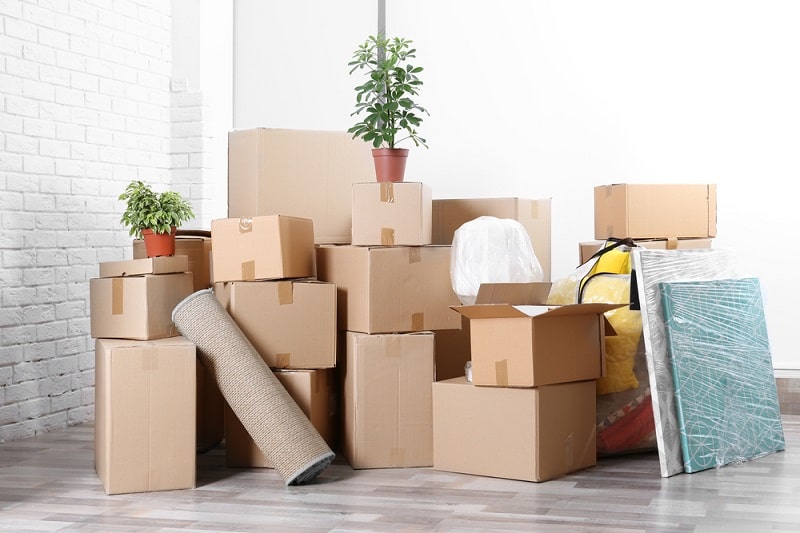 	
Movers and Packers in Ajman